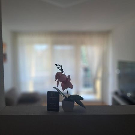 Ferienwohnung Shirin Rust Eksteriør billede