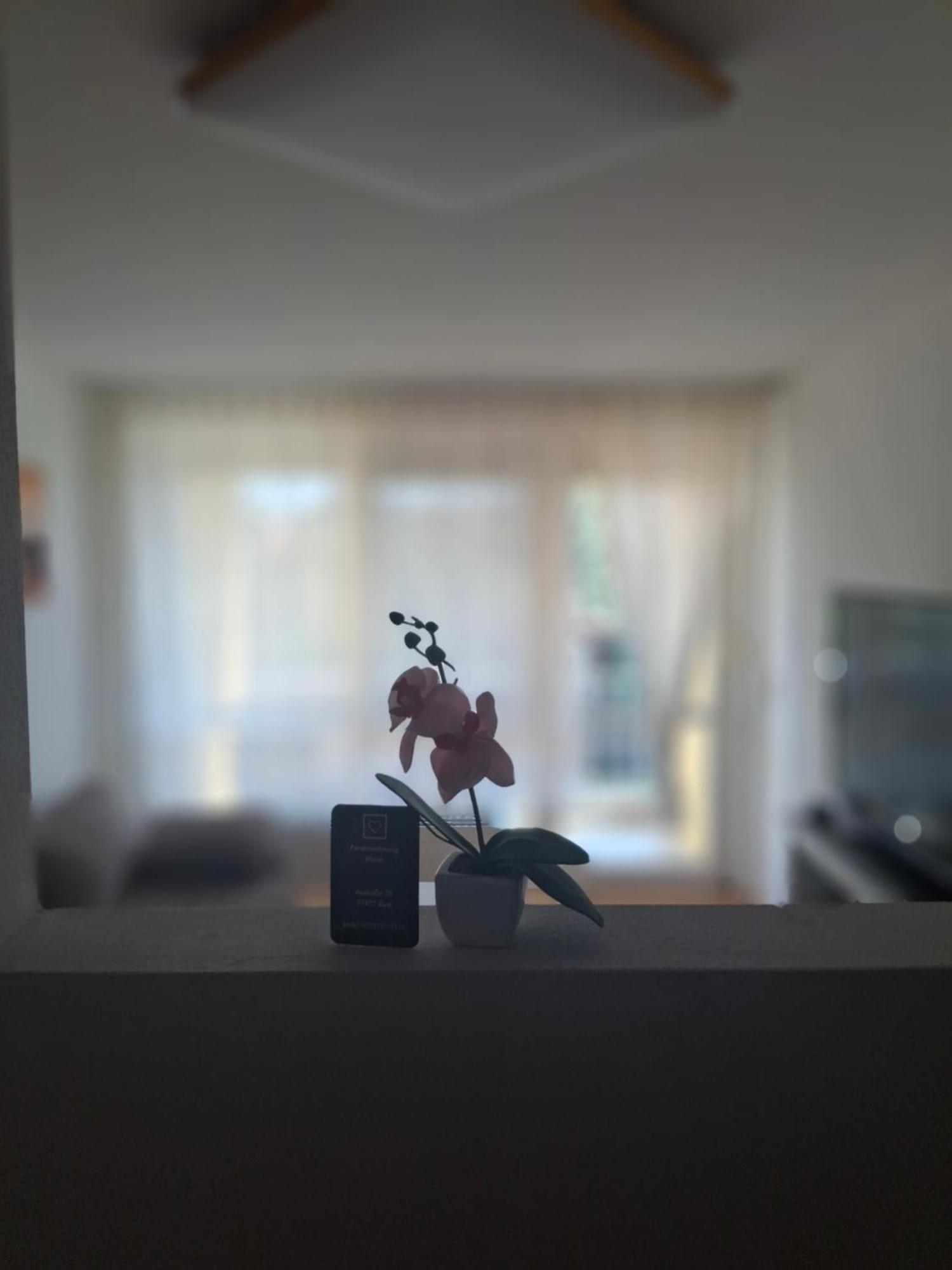 Ferienwohnung Shirin Rust Eksteriør billede
